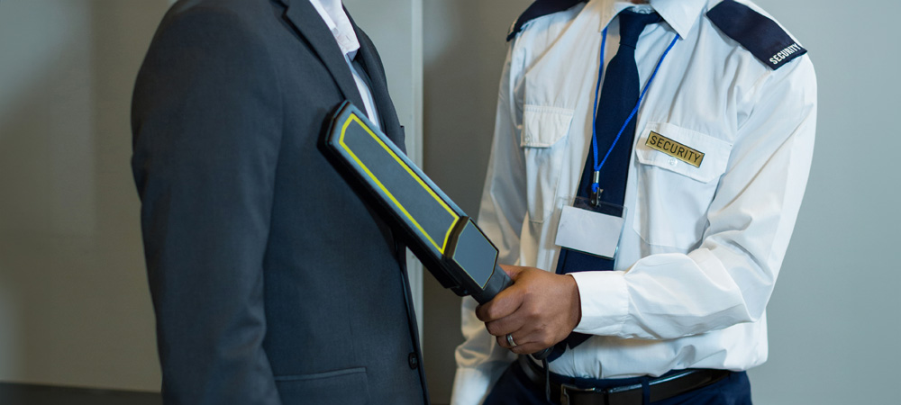 handheld metal detector